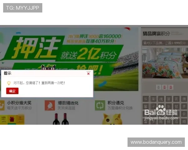 买波胆稳赢方法避坑指南品牌入口下载评测防骗